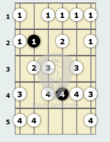 B Half-Whole Diminished Scale | Standard Guitar