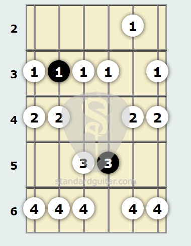 C Phrygian Scale | Standard Guitar